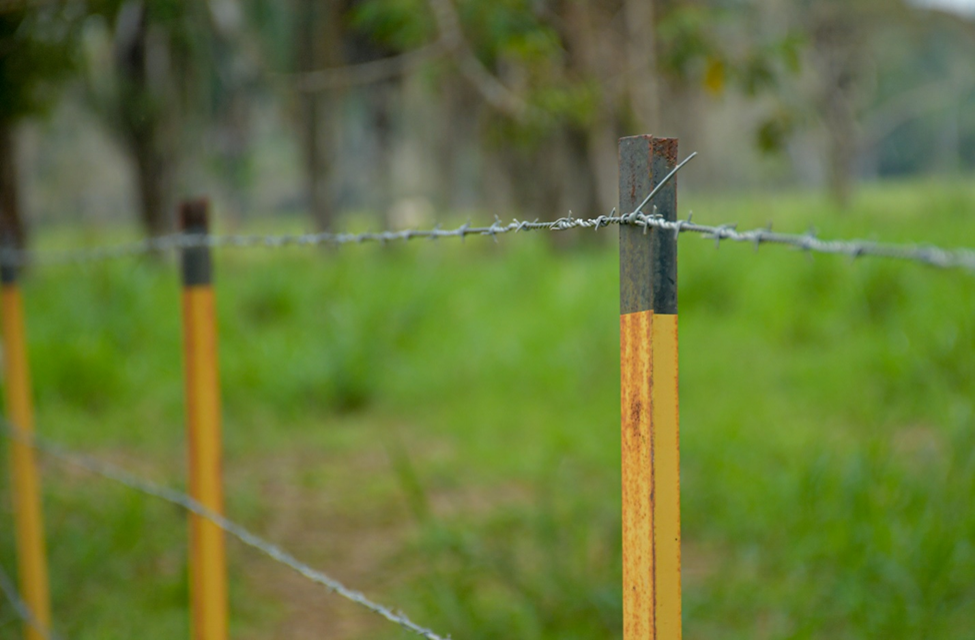 5 Tips para la instalación y manejo de los Alambres de púas